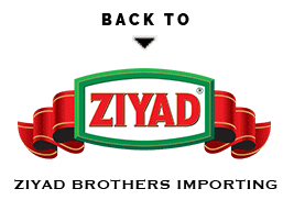 back-to-ziyad